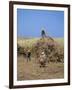 Harvesting Sugar Cane, Mauritius, Indian Ocean, Africa-G Richardson-Framed Photographic Print