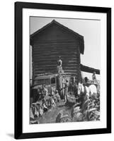 Harvesting Tobacco-Marie Hansen-Framed Photographic Print