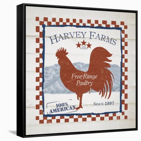 Harvey Farms Poultry-Diane Stimson-Framed Stretched Canvas