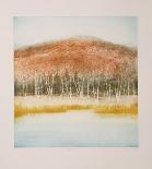 Birch Grove-Harvey Kidder-Framed Collectable Print