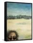 Harveys Failed Beach Selfie-Tim Nyberg-Framed Stretched Canvas