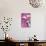 Hasbro My Little Pony - Smile-Trends International-Poster displayed on a wall