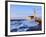 Hassan Ii Mosque in Casablanca-Karol Kozlowski-Framed Premium Photographic Print