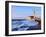 Hassan Ii Mosque in Casablanca-Karol Kozlowski-Framed Photographic Print