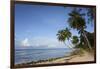 Hastings Beach, Bridgetown, Christ Church, Barbados, West Indies, Caribbean, Central America-Frank Fell-Framed Photographic Print