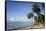 Hastings Beach, Bridgetown, Christ Church, Barbados, West Indies, Caribbean, Central America-Frank Fell-Framed Stretched Canvas