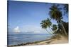 Hastings Beach, Bridgetown, Christ Church, Barbados, West Indies, Caribbean, Central America-Frank Fell-Stretched Canvas