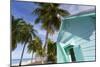 Hastings Beach, Christ Church, Barbados, West Indies, Caribbean, Central America-Frank Fell-Mounted Photographic Print