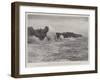 Hastings During the Recent Storm, View Looking East-null-Framed Giclee Print