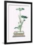 Hasu (Lotus) In Sunabachi-Josiah Conder-Framed Art Print