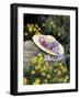 Hat and Daffodils, Louisville, Kentucky, USA-Adam Jones-Framed Photographic Print