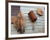 Hat, Basket, and Fishing Net Hanging Outside Iban Longhouse, Sarawak, Borneo, Malaysia-Jay Sturdevant-Framed Photographic Print