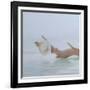Hat on the Creek, 2012-Lincoln Seligman-Framed Giclee Print