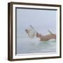 Hat on the Creek, 2012-Lincoln Seligman-Framed Giclee Print