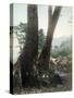 Hata at Hakone Road, Japan, Early 20th Century-null-Stretched Canvas