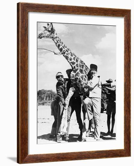 Hatari!, 1962-null-Framed Photographic Print