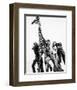 Hatari!-null-Framed Photo