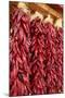 Hatch, New Mexico, Usa. Red chiles hang out to dry.-Julien McRoberts-Mounted Photographic Print