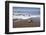 Hatchling Sea Turtle Heads to the Ocean-Paul Souders-Framed Photographic Print