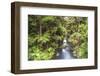 Hatea River Landscape at the Whangarei Falls, a Waterfall in the Northlands Region of North Island-Matthew Williams-Ellis-Framed Photographic Print