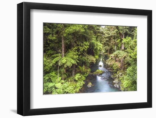 Hatea River Landscape at the Whangarei Falls, a Waterfall in the Northlands Region of North Island-Matthew Williams-Ellis-Framed Photographic Print