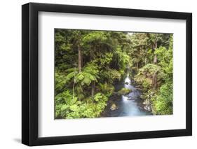 Hatea River Landscape at the Whangarei Falls, a Waterfall in the Northlands Region of North Island-Matthew Williams-Ellis-Framed Photographic Print