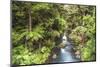 Hatea River Landscape at the Whangarei Falls, a Waterfall in the Northlands Region of North Island-Matthew Williams-Ellis-Mounted Photographic Print