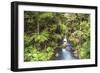 Hatea River Landscape at the Whangarei Falls, a Waterfall in the Northlands Region of North Island-Matthew Williams-Ellis-Framed Photographic Print