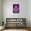 Haters Gonna Hate Purple Bling-null-Mounted Art Print displayed on a wall