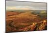 Hathersage Moor from Higger Tor, sunrise in autumn, Peak District National Park, Derbyshire, Englan-Eleanor Scriven-Mounted Photographic Print