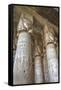 Hathor-Headed Columns, Hypostyle Hall, Temple of Hathor, Dendera, Egypt, North Africa, Africa-Richard Maschmeyer-Framed Stretched Canvas
