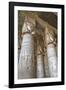 Hathor-Headed Columns, Hypostyle Hall, Temple of Hathor, Dendera, Egypt, North Africa, Africa-Richard Maschmeyer-Framed Photographic Print