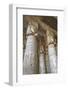 Hathor-Headed Columns, Hypostyle Hall, Temple of Hathor, Dendera, Egypt, North Africa, Africa-Richard Maschmeyer-Framed Photographic Print