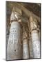 Hathor-Headed Columns, Hypostyle Hall, Temple of Hathor, Dendera, Egypt, North Africa, Africa-Richard Maschmeyer-Mounted Photographic Print