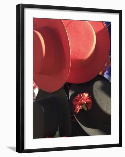 Hats, Plaza de Espana, Seville, Sevilla Province, Andalucia, Spain-Demetrio Carrasco-Framed Photographic Print