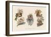 Hats Profusely Ornamented with Feathers Bows Ribbons and Flowers-null-Framed Art Print