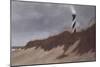 Hatteras Sentinel-David Knowlton-Mounted Giclee Print