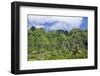 Hau'Ula Forest Reserve, Koolau Mountain Rage, Oahu, Hawaii, United States of America, Pacific-Michael DeFreitas-Framed Photographic Print