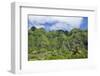 Hau'Ula Forest Reserve, Koolau Mountain Rage, Oahu, Hawaii, United States of America, Pacific-Michael DeFreitas-Framed Photographic Print