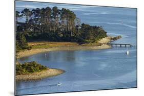 Haulashore Island and Paddleboarder, Tasman Bay, Nelson, New Zealand-David Wall-Mounted Photographic Print