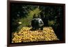 Hauling Crates of Peaches-Russell Lee-Framed Photo