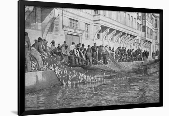 Hauling in a Grippo of 15000 Fish at Emirgian on the Bosphorus, c1901, (1903)-null-Framed Giclee Print