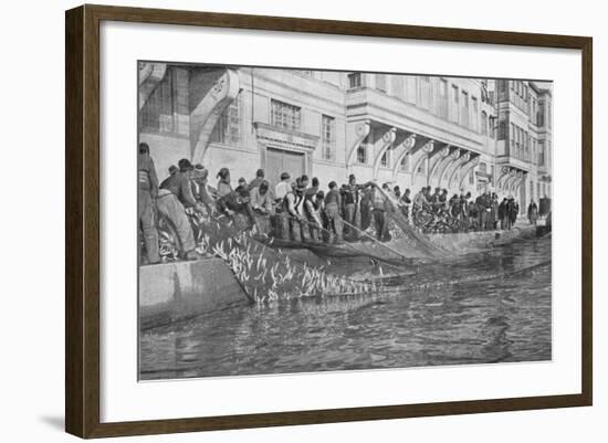 Hauling in a Grippo of 15000 Fish at Emirgian on the Bosphorus, c1901, (1903)-null-Framed Giclee Print