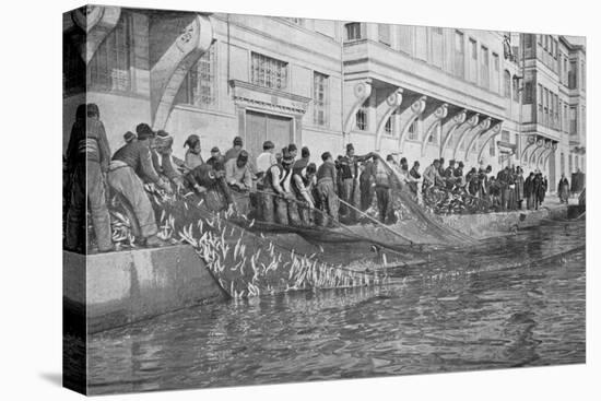 Hauling in a Grippo of 15000 Fish at Emirgian on the Bosphorus, c1901, (1903)-null-Stretched Canvas