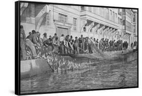 Hauling in a Grippo of 15000 Fish at Emirgian on the Bosphorus, c1901, (1903)-null-Framed Stretched Canvas