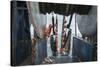 Hauling in Dragger Net Filled with Haddock (Melanogrammus Aeglefinus)-Jeff Rotman-Stretched Canvas