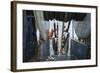 Hauling in Dragger Net Filled with Haddock (Melanogrammus Aeglefinus)-Jeff Rotman-Framed Photographic Print