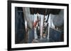 Hauling in Dragger Net Filled with Haddock (Melanogrammus Aeglefinus)-Jeff Rotman-Framed Photographic Print