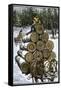 Hauling Logs with a Horse-Drawn Sledge in Northern Wisconsin, 1880s-null-Framed Stretched Canvas