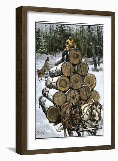 Hauling Logs with a Horse-Drawn Sledge in Northern Wisconsin, 1880s-null-Framed Giclee Print